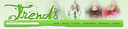 houston web site design